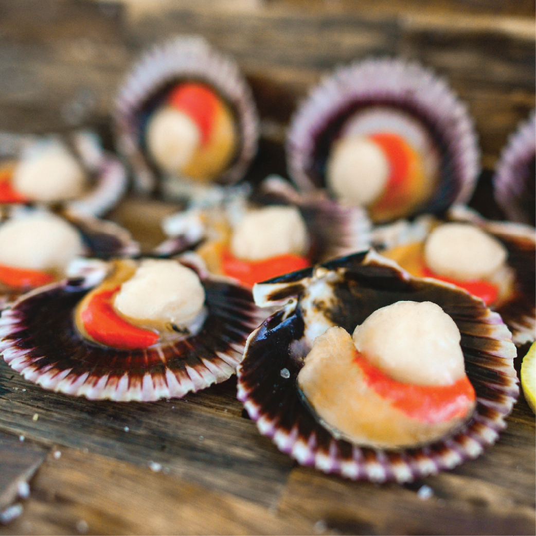 Ostión c/Coral Media Concha 20-30 Peruano, 1Kg