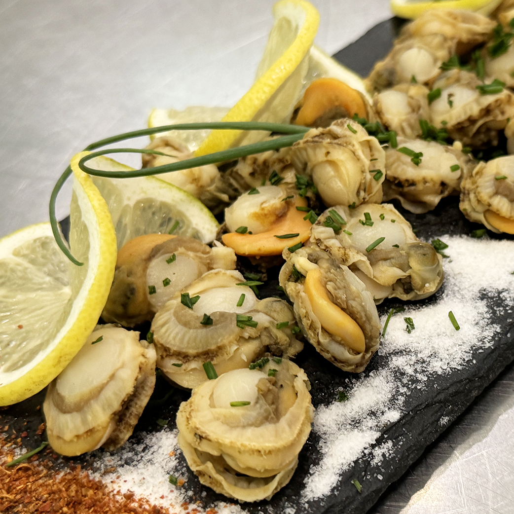 Ostión 80-120 cocido con ribete 1 Kg - Caja 5u