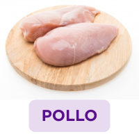 Pollo